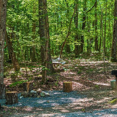 Coyote Cabin At Woodland Retreat At Desoto Beside Desoto State Park Fort Payne Eksteriør bilde