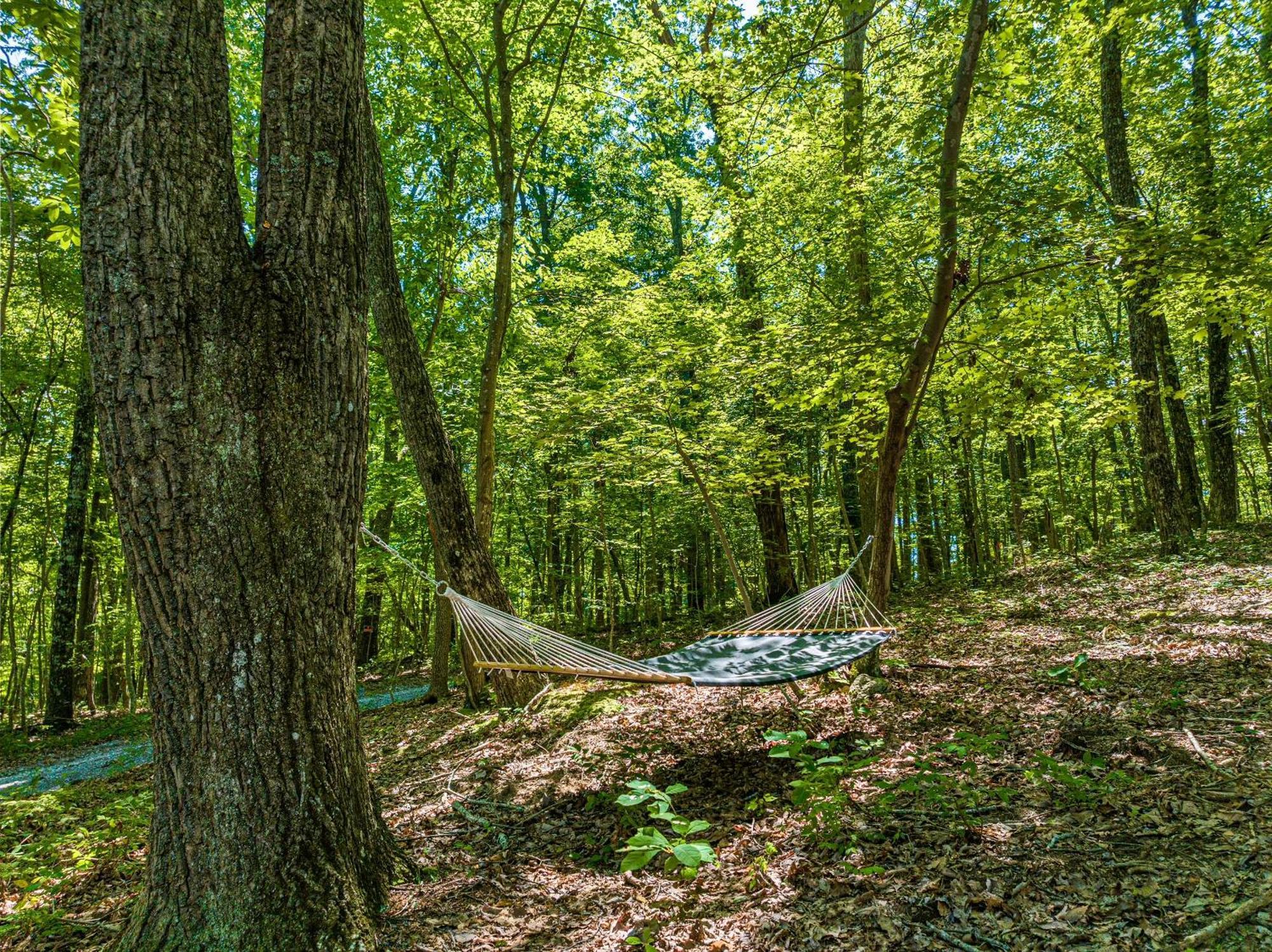 Coyote Cabin At Woodland Retreat At Desoto Beside Desoto State Park Fort Payne Eksteriør bilde